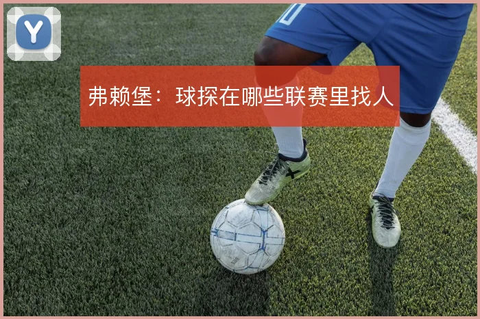 弗赖堡:球探在哪些联赛里找人
